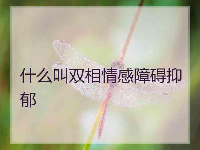 什么叫双相情感障碍抑郁