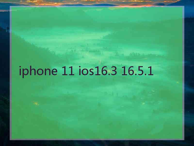 iphone 11 ios16.3 16.5.1