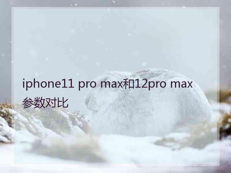 iphone11 pro max和12pro max参数对比