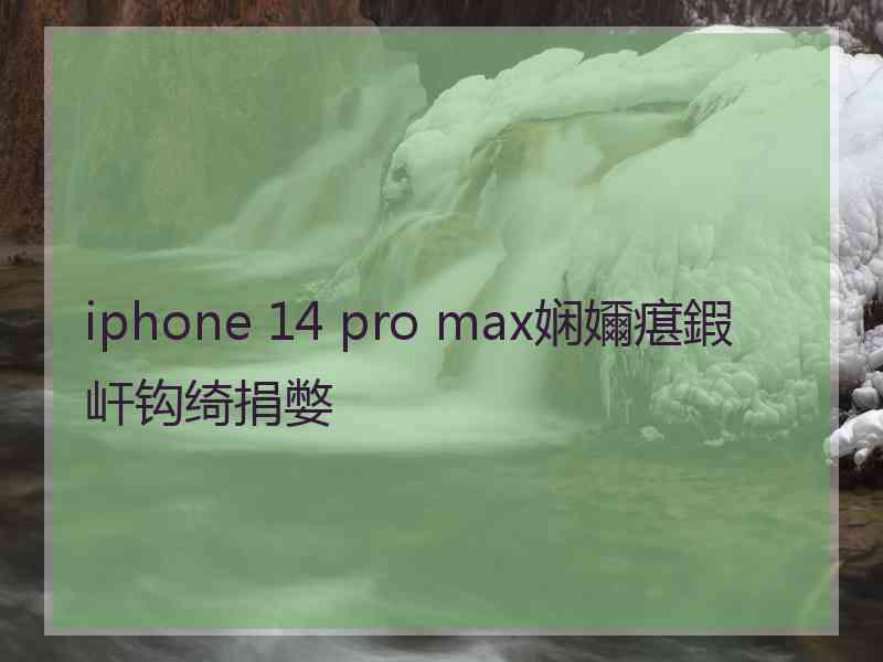 iphone 14 pro max娴嬭瘎鍜屽钩绮捐嫳