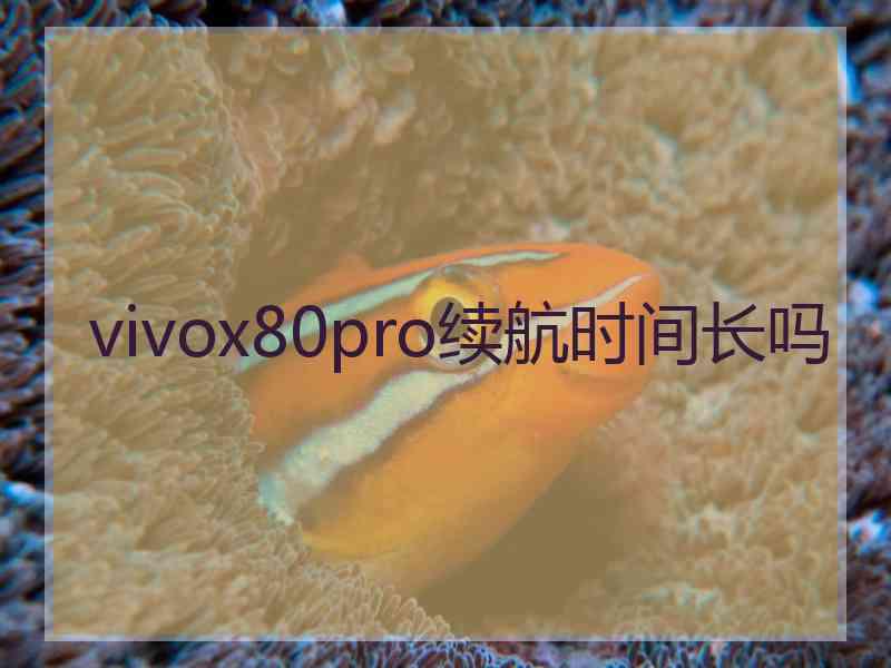 vivox80pro续航时间长吗