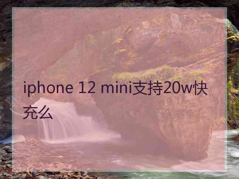 iphone 12 mini支持20w快充么