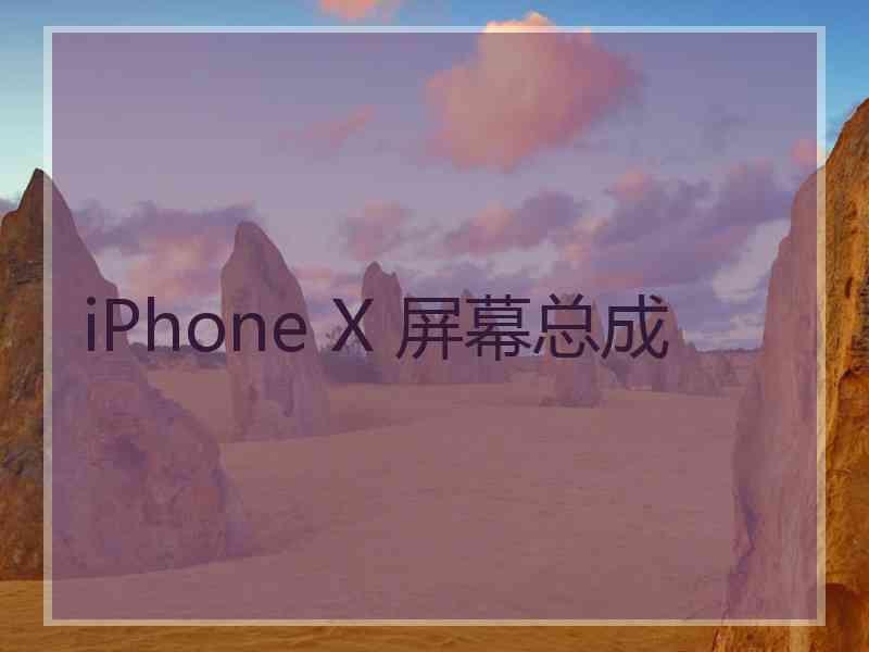 iPhone X 屏幕总成