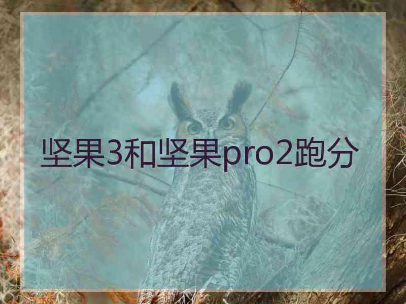 坚果3和坚果pro2跑分