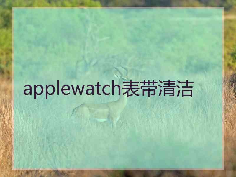 applewatch表带清洁