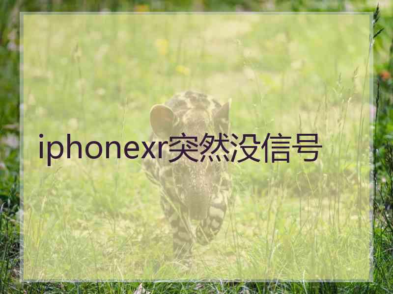 iphonexr突然没信号