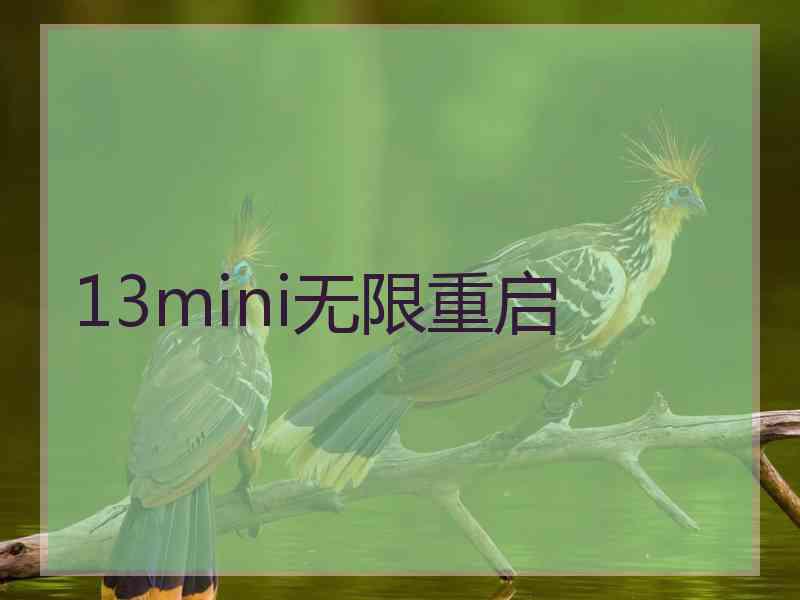 13mini无限重启