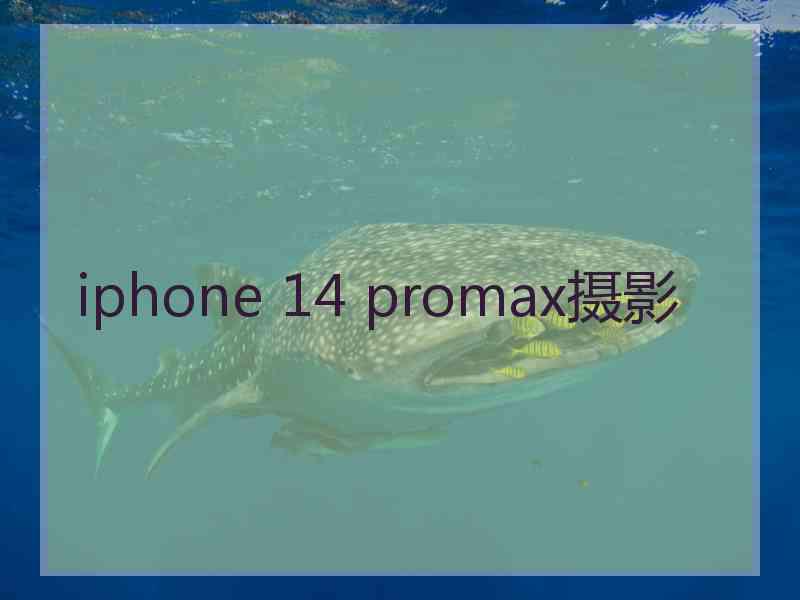 iphone 14 promax摄影