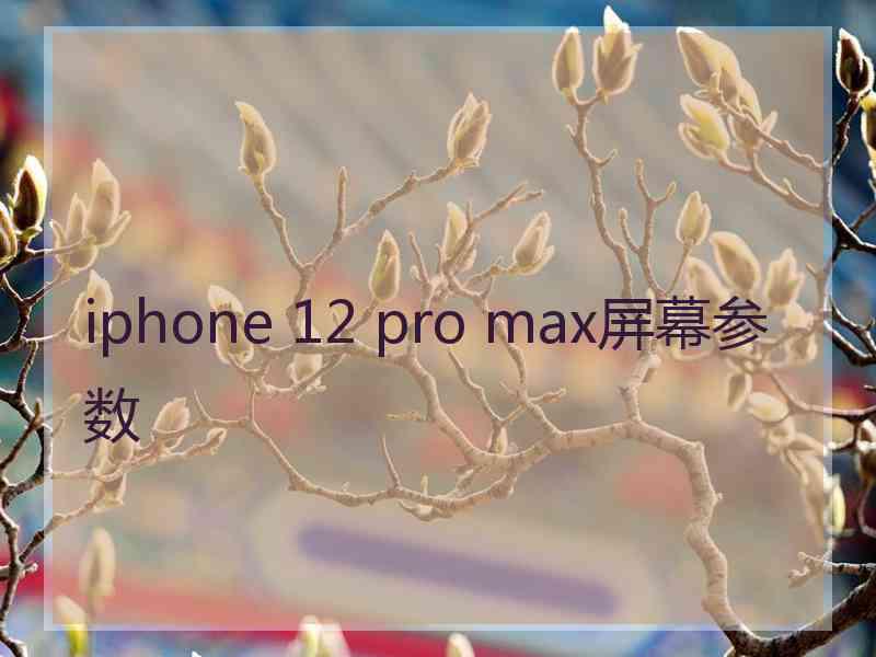 iphone 12 pro max屏幕参数