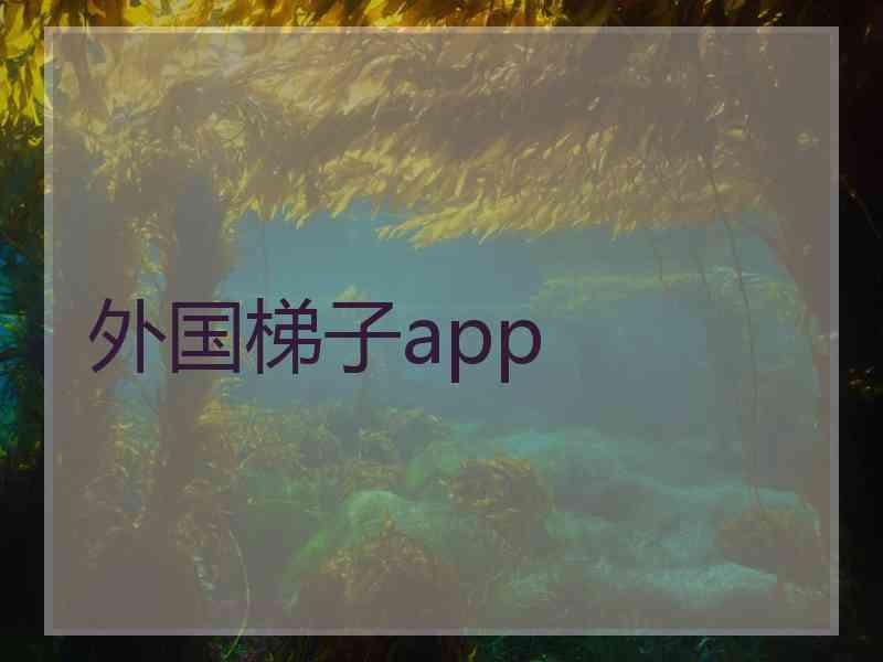 外国梯子app