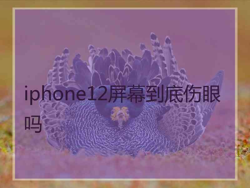 iphone12屏幕到底伤眼吗