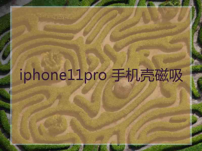 iphone11pro 手机壳磁吸