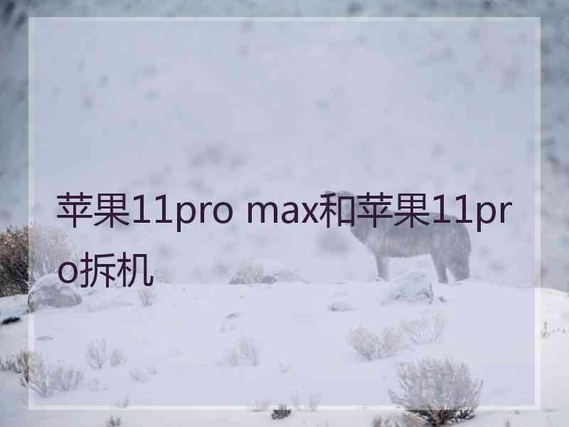 苹果11pro max和苹果11pro拆机