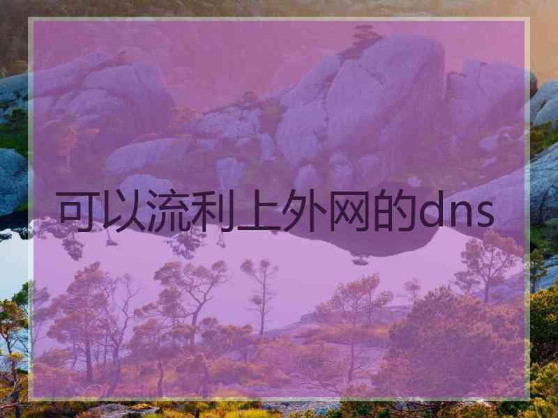 可以流利上外网的dns