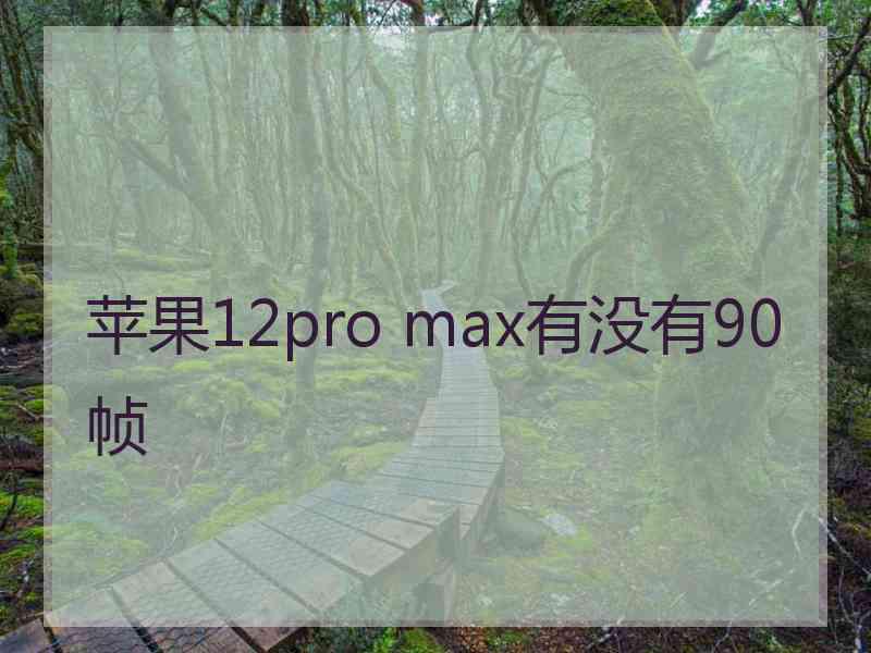 苹果12pro max有没有90帧