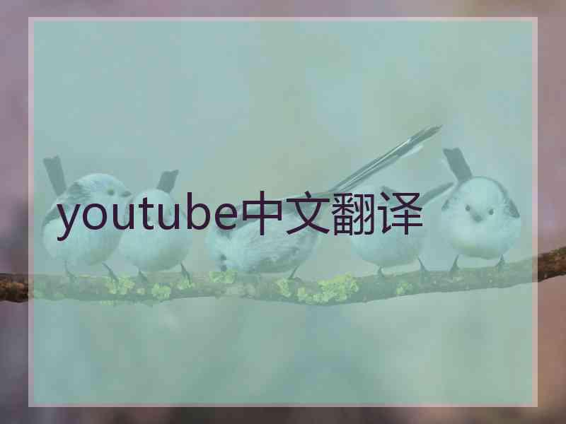 youtube中文翻译