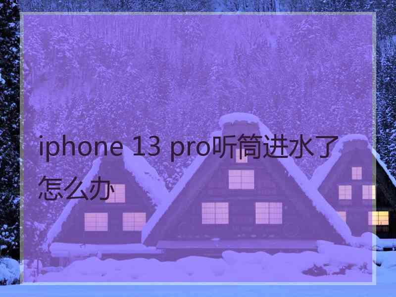 iphone 13 pro听筒进水了怎么办