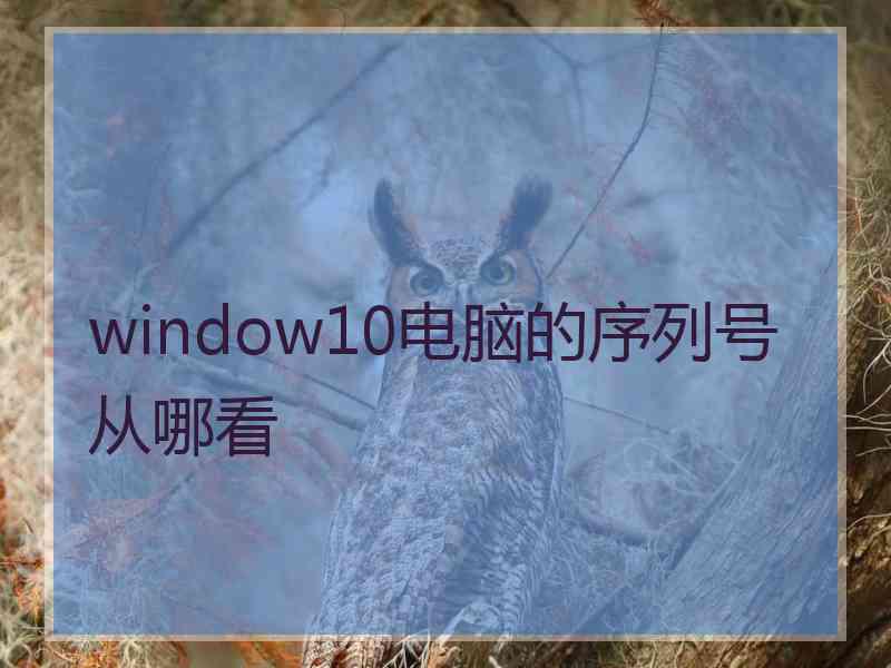 window10电脑的序列号从哪看