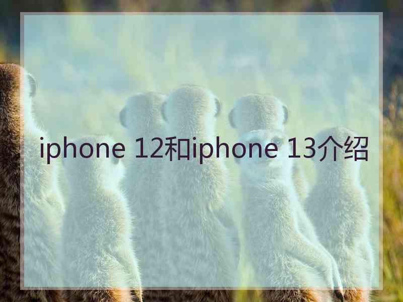 iphone 12和iphone 13介绍