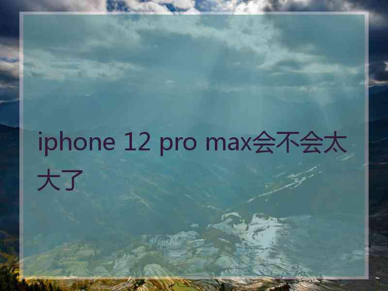 iphone 12 pro max会不会太大了