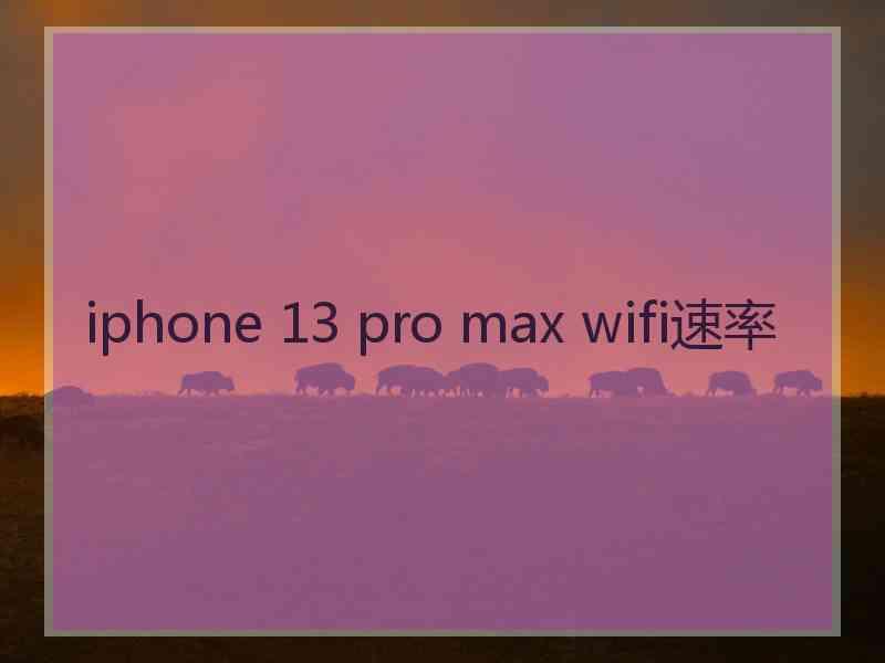 iphone 13 pro max wifi速率