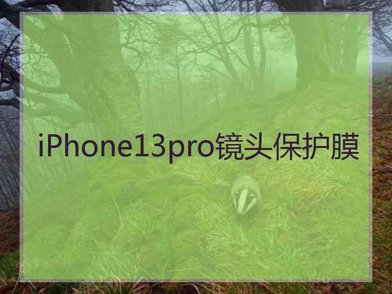 iPhone13pro镜头保护膜