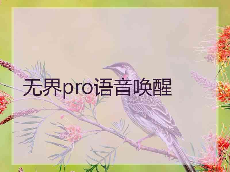 无界pro语音唤醒