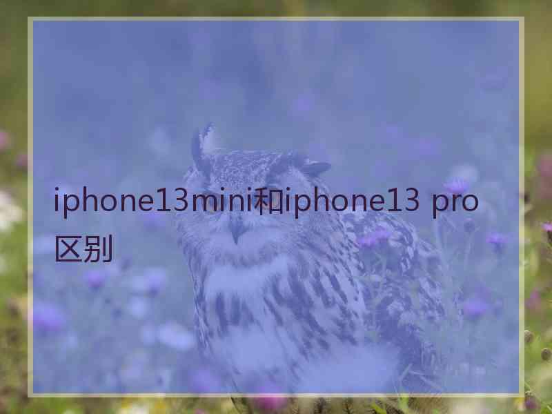 iphone13mini和iphone13 pro区别