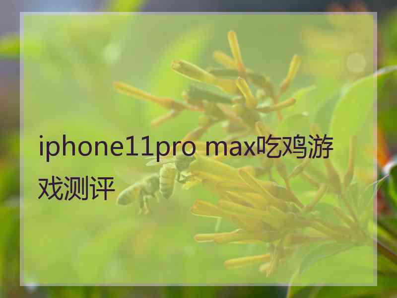 iphone11pro max吃鸡游戏测评