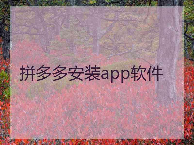 拼多多安装app软件