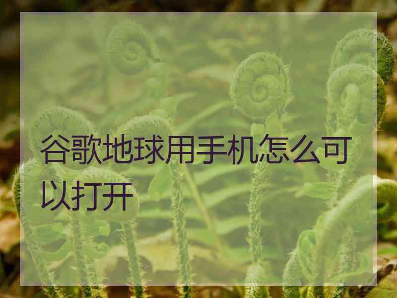 谷歌地球用手机怎么可以打开