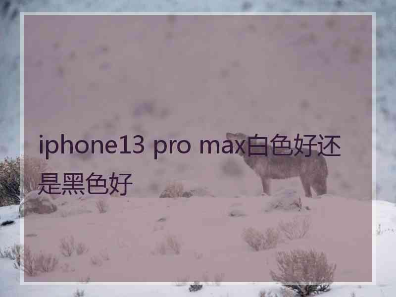 iphone13 pro max白色好还是黑色好