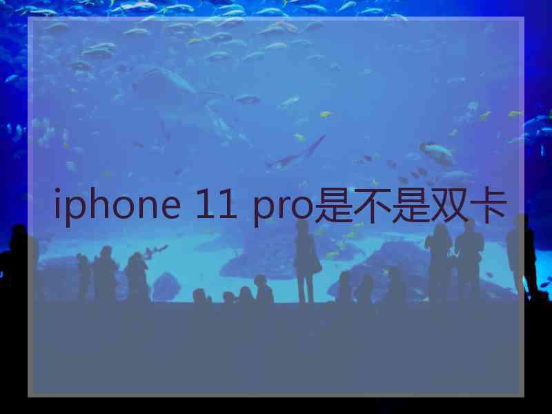 iphone 11 pro是不是双卡