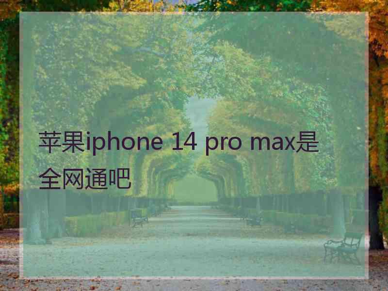 苹果iphone 14 pro max是全网通吧