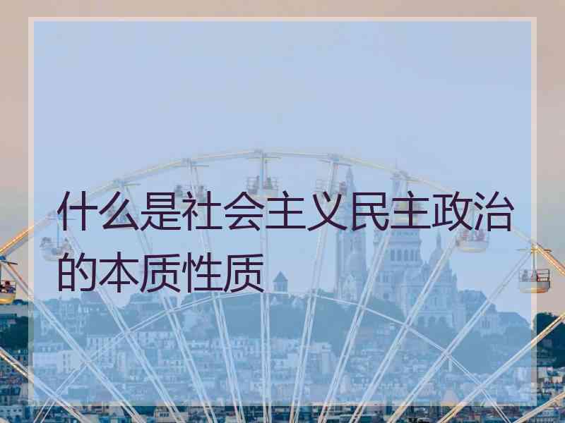 什么是社会主义民主政治的本质性质