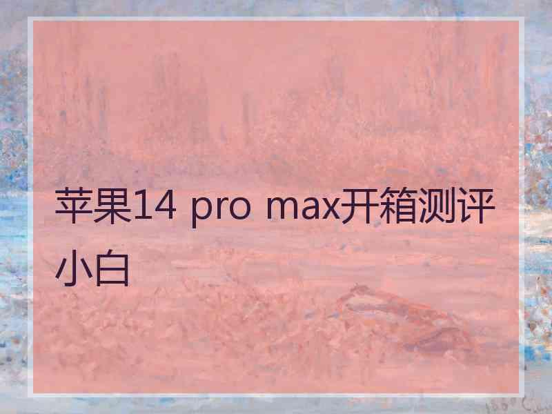 苹果14 pro max开箱测评小白