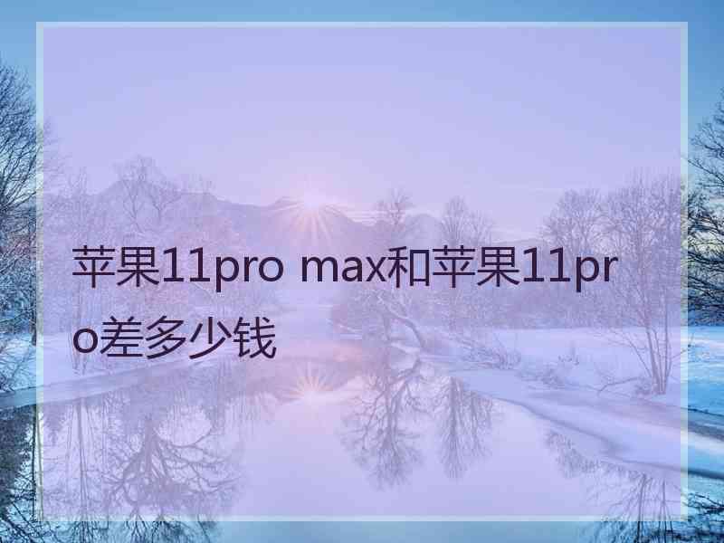 苹果11pro max和苹果11pro差多少钱