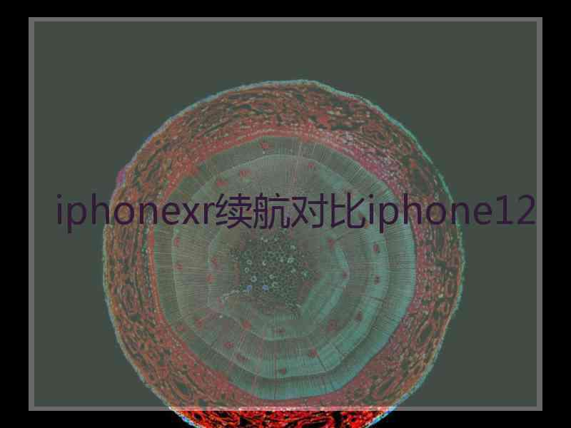 iphonexr续航对比iphone12