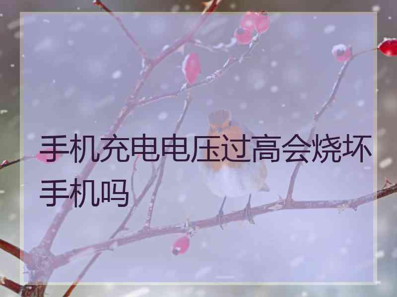 手机充电电压过高会烧坏手机吗