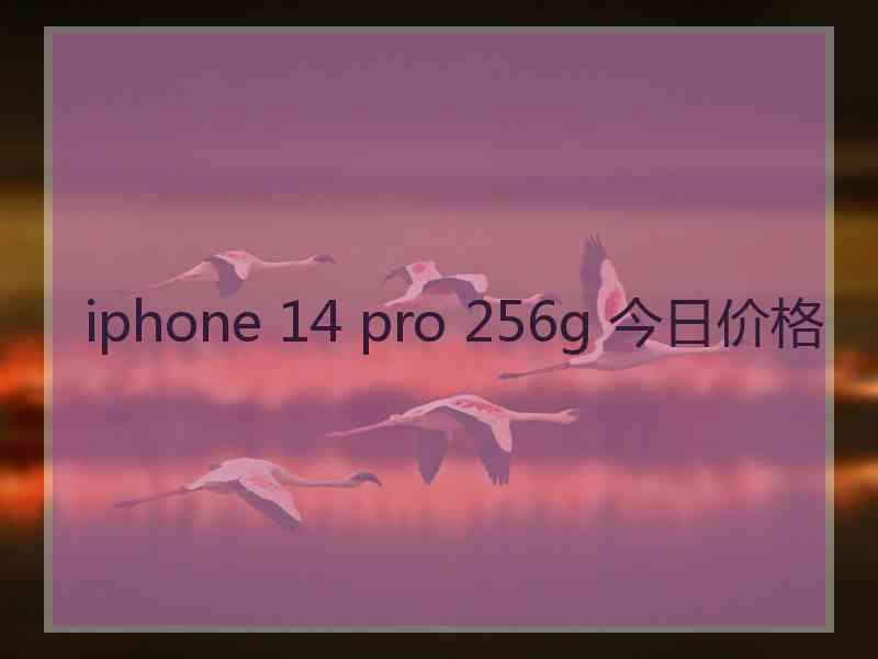 iphone 14 pro 256g 今日价格