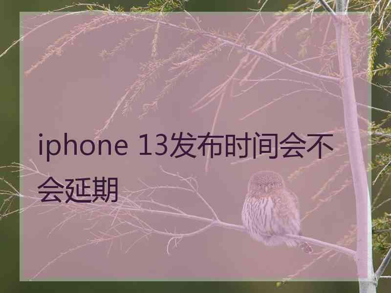 iphone 13发布时间会不会延期