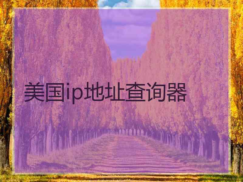 美国ip地址查询器