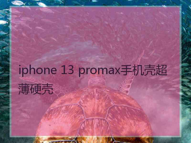 iphone 13 promax手机壳超薄硬壳