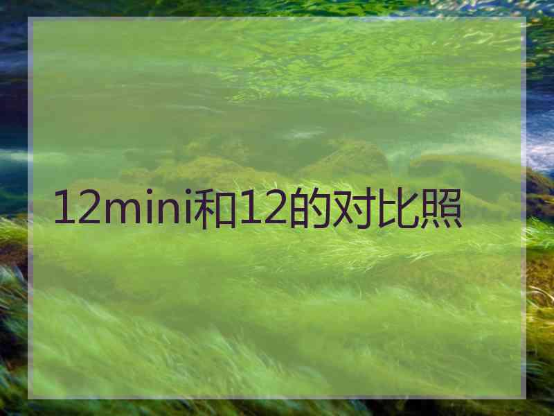 12mini和12的对比照