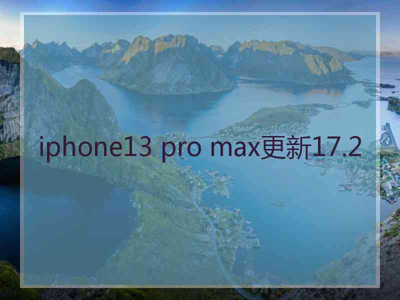 iphone13 pro max更新17.2