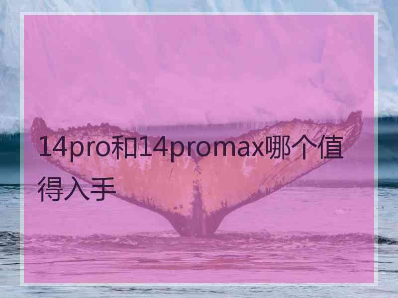 14pro和14promax哪个值得入手