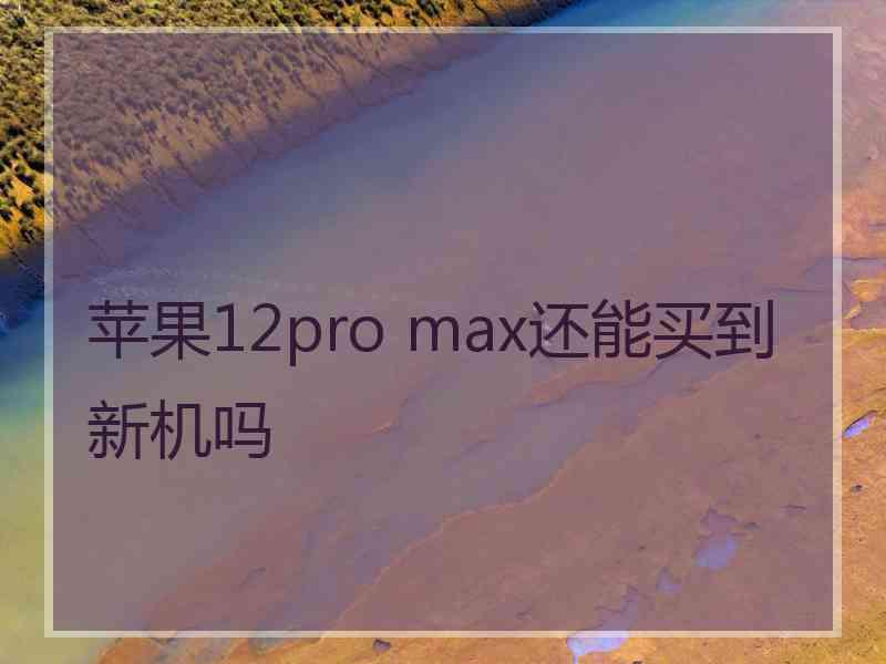 苹果12pro max还能买到新机吗