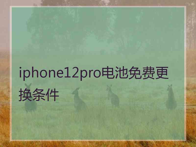 iphone12pro电池免费更换条件