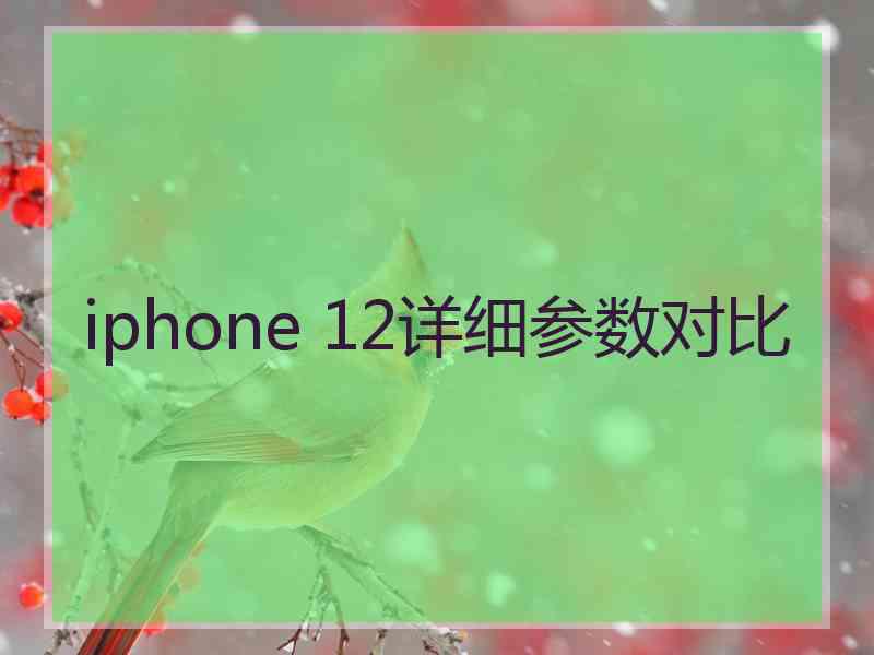 iphone 12详细参数对比