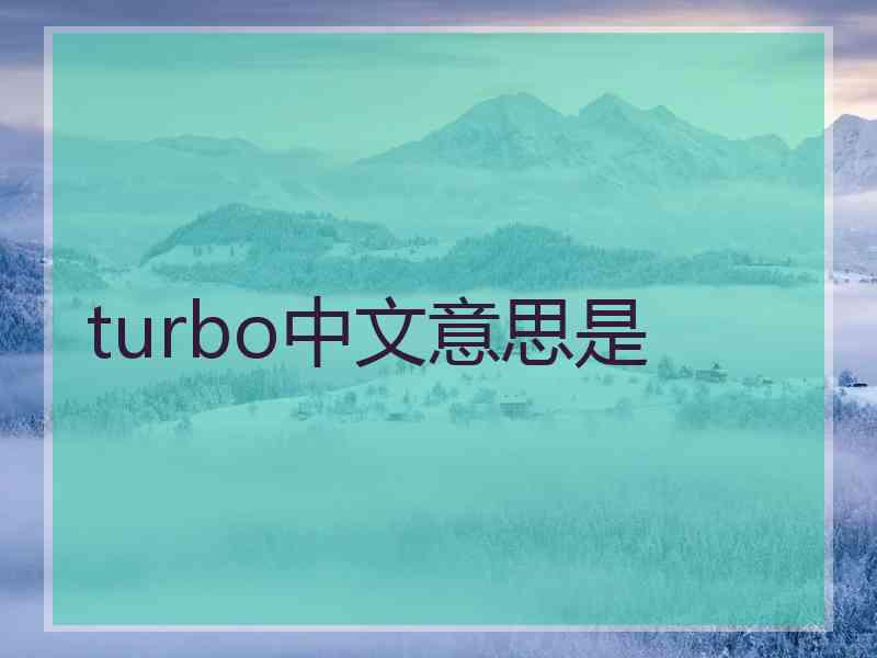 turbo中文意思是